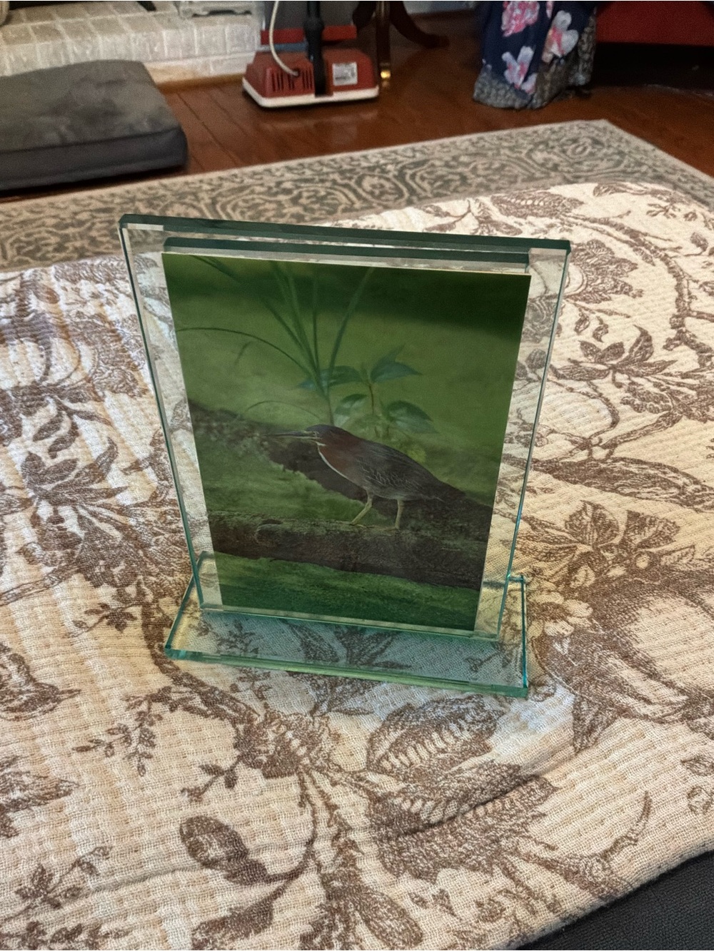 Heavy Glass Photo Frame with Green Heron Print
